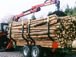 Forest Technology Centre forestry machinery  harvesting machine to soil preparation Poland